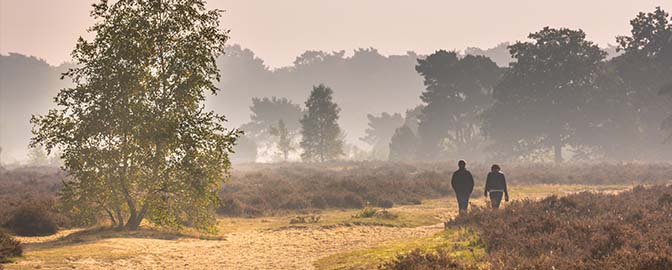 Wandelaars op de Veluwe